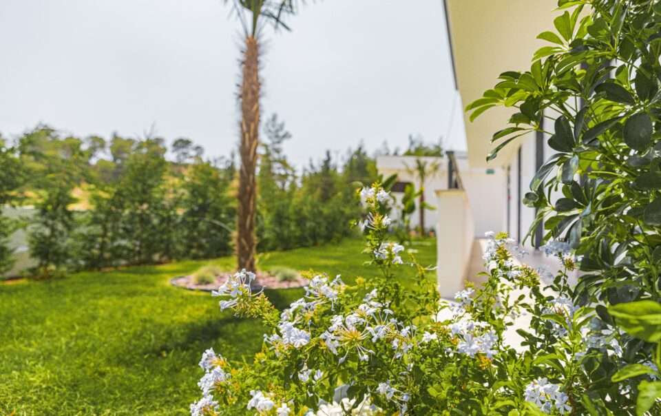 Scape Hotel Fethiye Outside garden behind one of the buildings